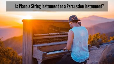Is Piano a String Instrument or a Percussion Instrument